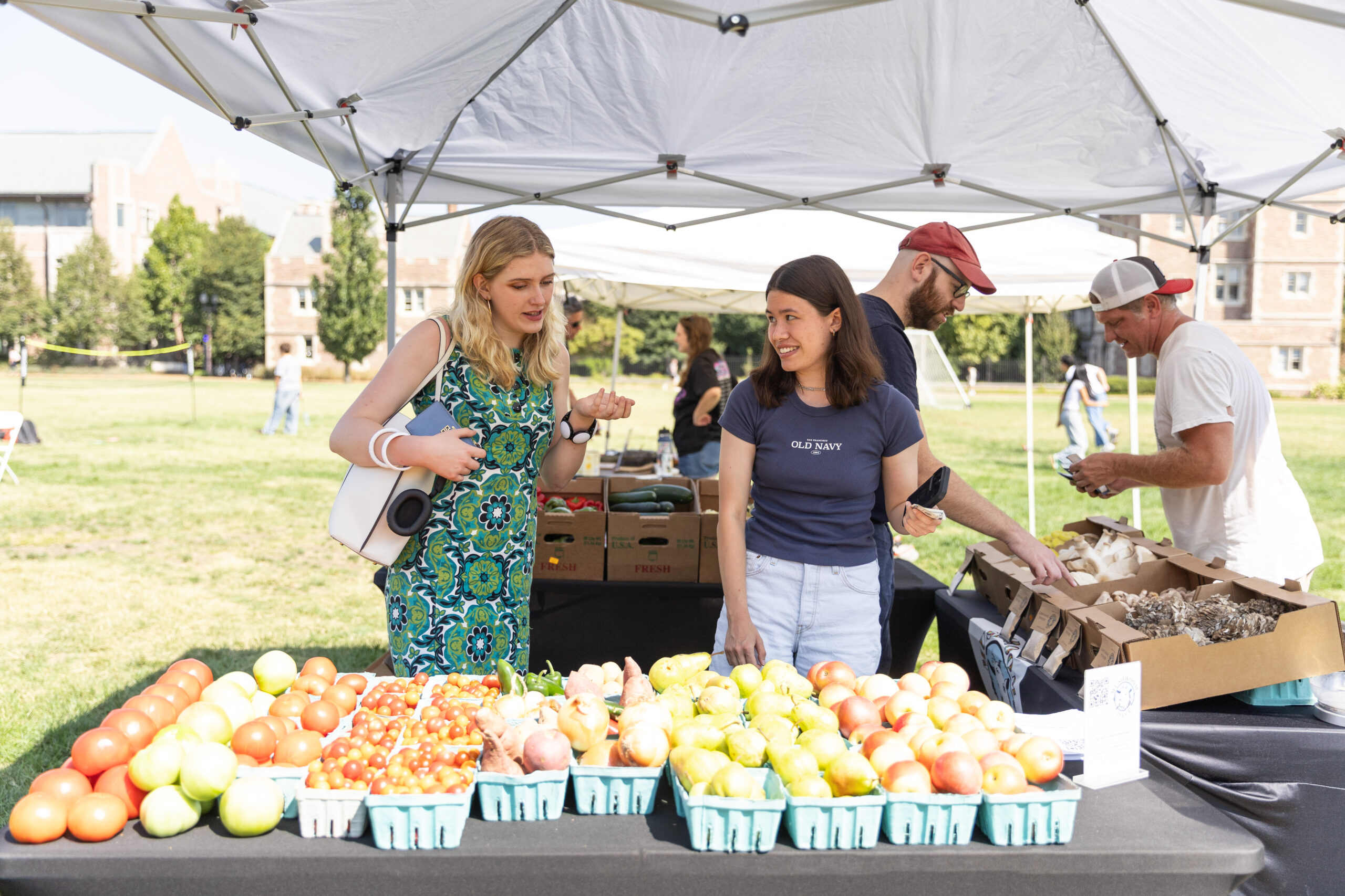 Students look at containers of apples on a table